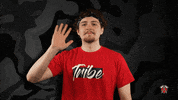 Look At Me Hello GIF by Tribe Gaming