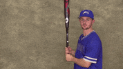 Cuw GIF by CUWFalcons
