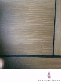GIF by The Weinstein Company