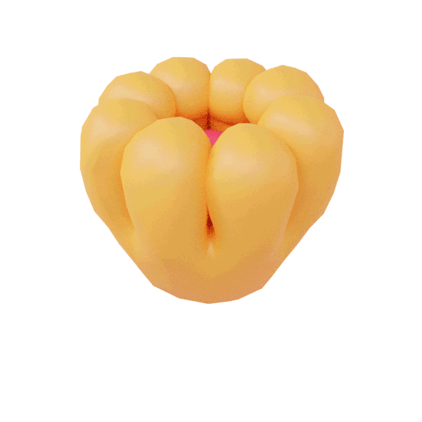 3D Flower Sticker by Loulou João