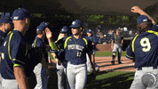 High Five Ty GIF by Upper Valley Nighthawks