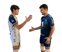 voleypalma volleyball volley voleibol voley Sticker