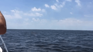 Boater Captures a Whale Breaching in Front of Another Boat Off New Jersey