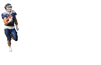 Football Rushing Sticker by Hannover Grizzlies