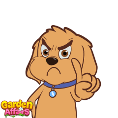 No Is No GIF by GardenAffairs