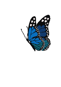 charlieillustrated animals nature fly free Sticker