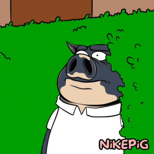 Mood Celebrating GIF by Nikepig
