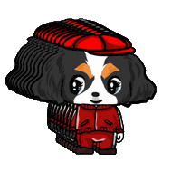 Cavalierkingcharlesspaniel Sticker