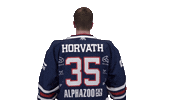 Ice Hockey Sport Sticker by Fehervar AV19