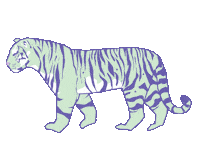 Cat Walk Sticker