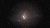 Dance Love GIF by Woodblock