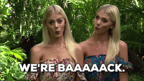 season 4 GIF by Bachelor in Paradise