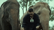 Music Video Dancing GIF by Karan Aujla