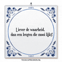 Humor Reflectie GIF by Tegelspreuken.nl