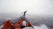 GIF by American Museum of Natural History