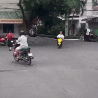 Michael Dao GIF