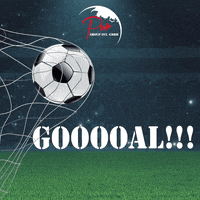 Soccer Goal GIF by Pur Group Int.