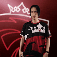 You Wrong What GIF by Austrian Force eSports