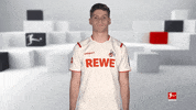 So What Wtf GIF by Bundesliga