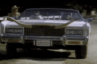 dog 80s commercial spuds mackenzie GIF