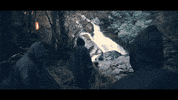 alcrego gif loop fire rap GIF