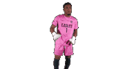 Goalkeeper Keeper Sticker by Carson-Newman Athletics