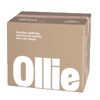 Dog Food Sticker by Ollie Pets