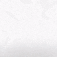 Hockey Eisbaeren GIF by Eisbären Berlin