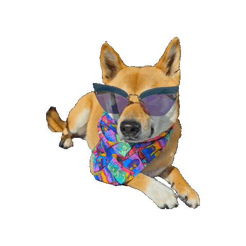 Shiba Inu Ryo Sticker by Geekster Pets