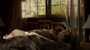 Fresh Off The Boat GIF by ABC Network