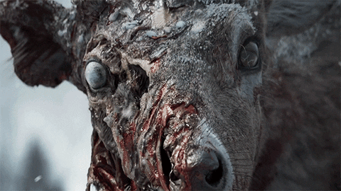 Zombie Deer GIF by Xbox
