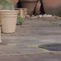 tweedyandfluff love cute friends sweet GIF