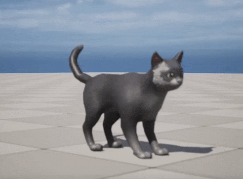 curiofawkstrawt giphyupload GIF