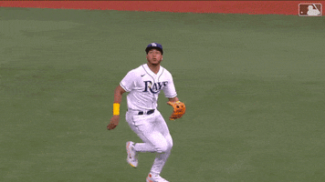 Major League Baseball Sport GIF by MLB