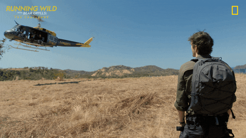 Survive Nat Geo GIF by National Geographic Channel