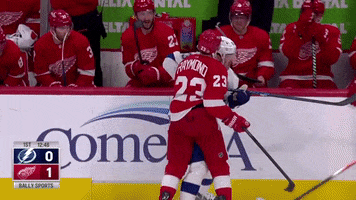 Red Wings Sport GIF by Bally Sports Detroit
