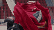 Ifk GIF by IFK_Helsinki