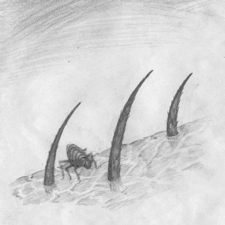 Art Illustration GIF by Miranda Javid