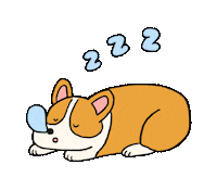 Eatmushroom dog illustration life corgi Sticker
