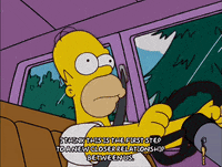 homer simpson GIF