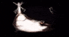 Family Hug GIF by Alex Boya