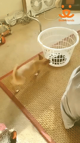 Bring Love Home