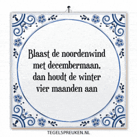 Winter Humor GIF by Tegelspreuken.nl