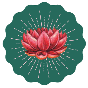 shazandkiks giphyupload flower lotus flower power Sticker