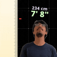 7 Foot 7Ft GIF