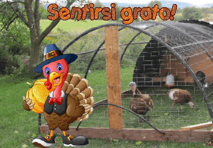 American Football Thanksgiving GIF