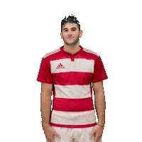 Try Meta Sticker by RIMINI RUGBY