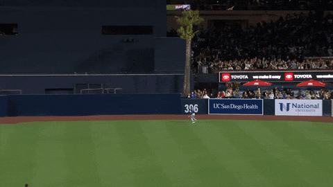 Tampa Bay Rays Sport GIF by MLB