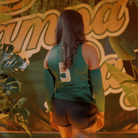 South Florida Volleyball GIF by USF Athletics