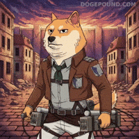 Serious Attack On Titan GIF by Doge Pound